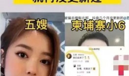 五嫂被害爆料视频在线观看,揭开惊人真相，网络直播见证悲剧瞬间